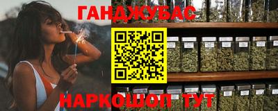 гидра Гай