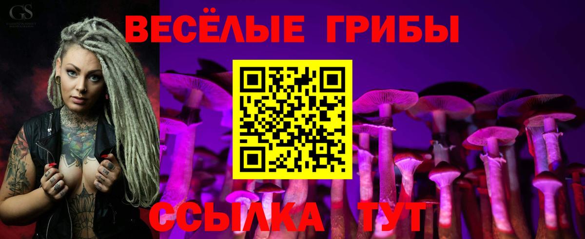 Галлюциногенные грибы Psilocybe  Вход с VPN  Искитим 